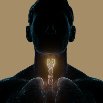 TACE & Tumor Ablation illustration